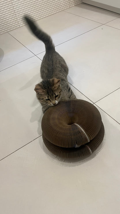 Foldable Honeycomb Cat Scratcher & Play Tunnel